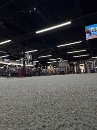 Turf