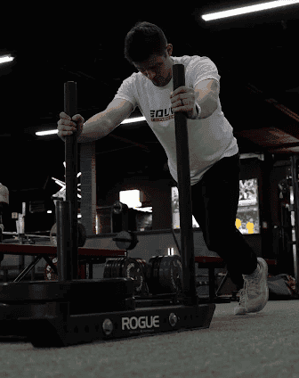 Online Performance Coaching